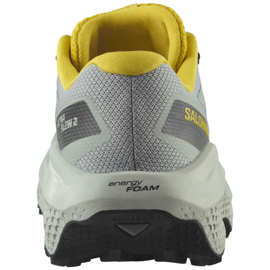 Salomon Ultra Flow 2